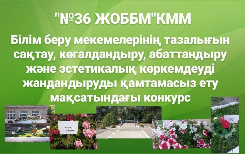 Мектеп ауласын көгалдандыру
